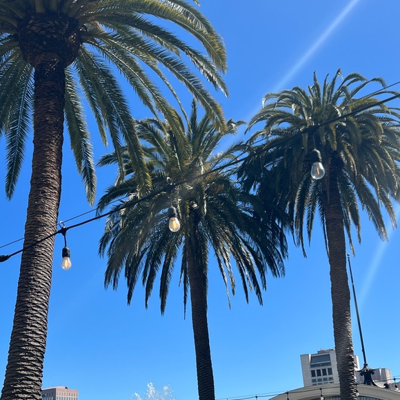 Meet your Posher, Cindy - Picture 1 of 1